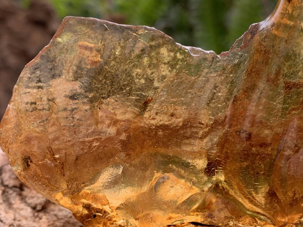 Natural Large Copal Amber Specimen x 1 From Nosy Varika, Madagascar