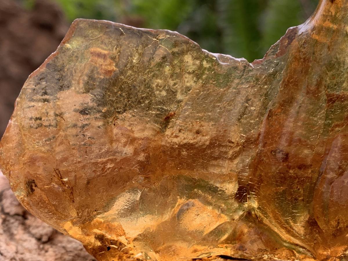 Natural Large Copal Amber Specimen x 1 From Nosy Varika, Madagascar