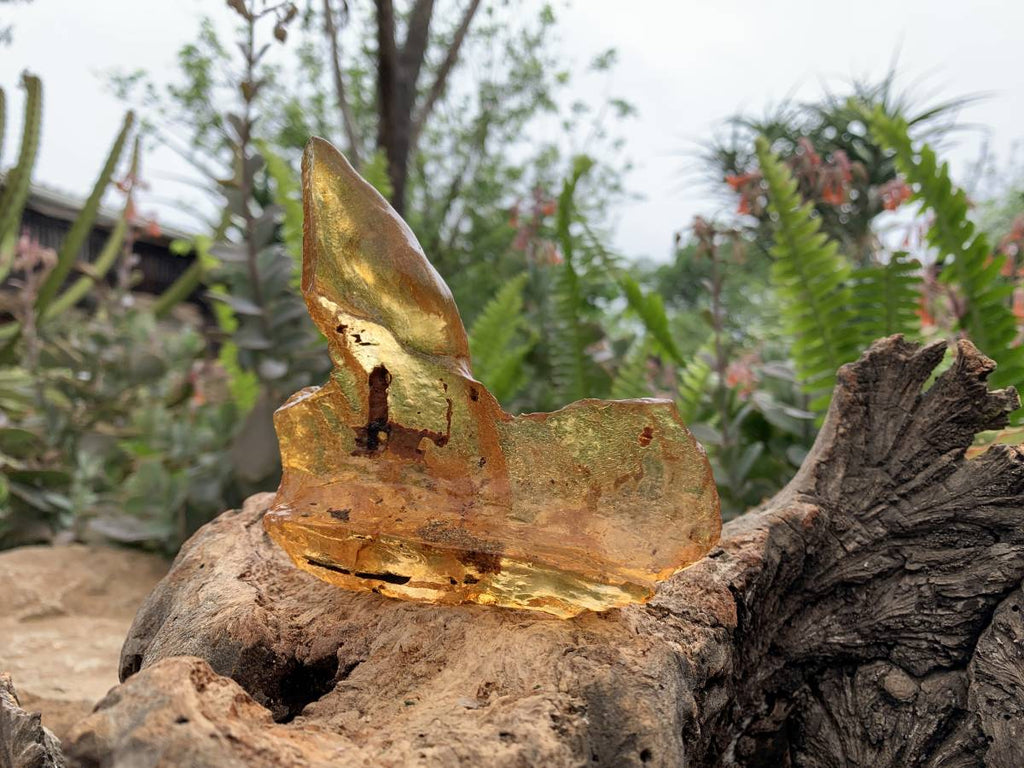Natural Large Copal Amber Specimen x 1 From Nosy Varika, Madagascar