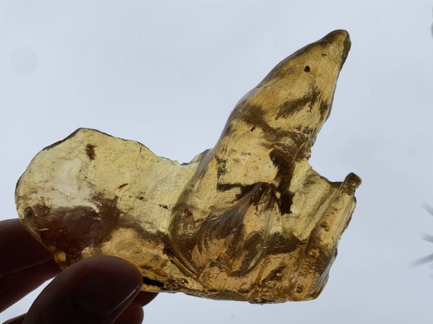 Natural Large Copal Amber Specimen x 1 From Nosy Varika, Madagascar