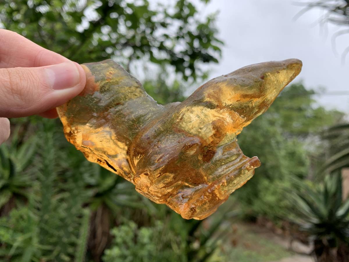 Natural Large Copal Amber Specimen x 1 From Nosy Varika, Madagascar