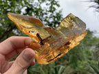 Natural Large Copal Amber Specimen x 1 From Nosy Varika, Madagascar