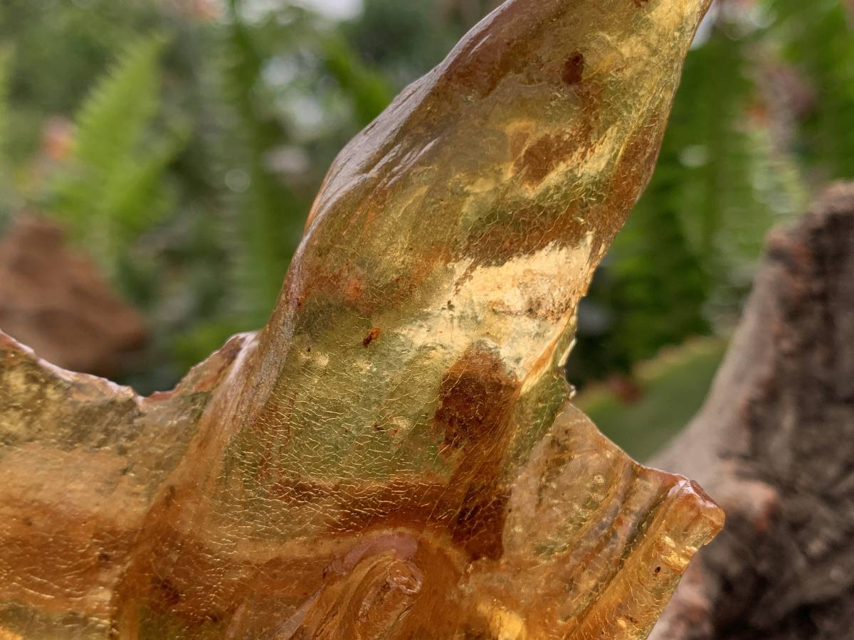 Natural Large Copal Amber Specimen x 1 From Nosy Varika, Madagascar