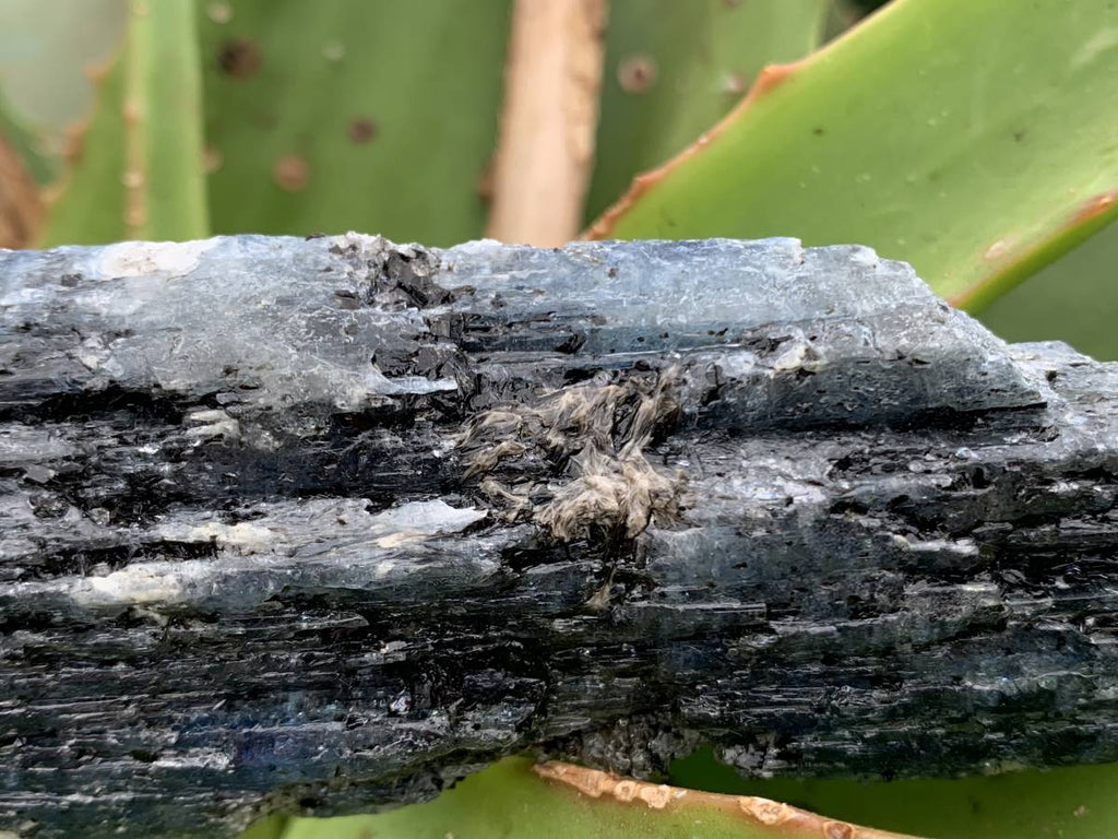 Natural XL Blue Kyanite Specimen x 1 From Karoi, Zimbabwe