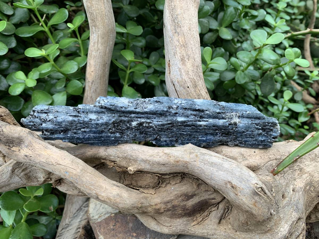 Natural XL Blue Kyanite Specimen x 1 From Karoi, Zimbabwe