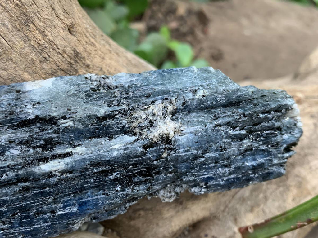 Natural XL Blue Kyanite Specimen x 1 From Karoi, Zimbabwe