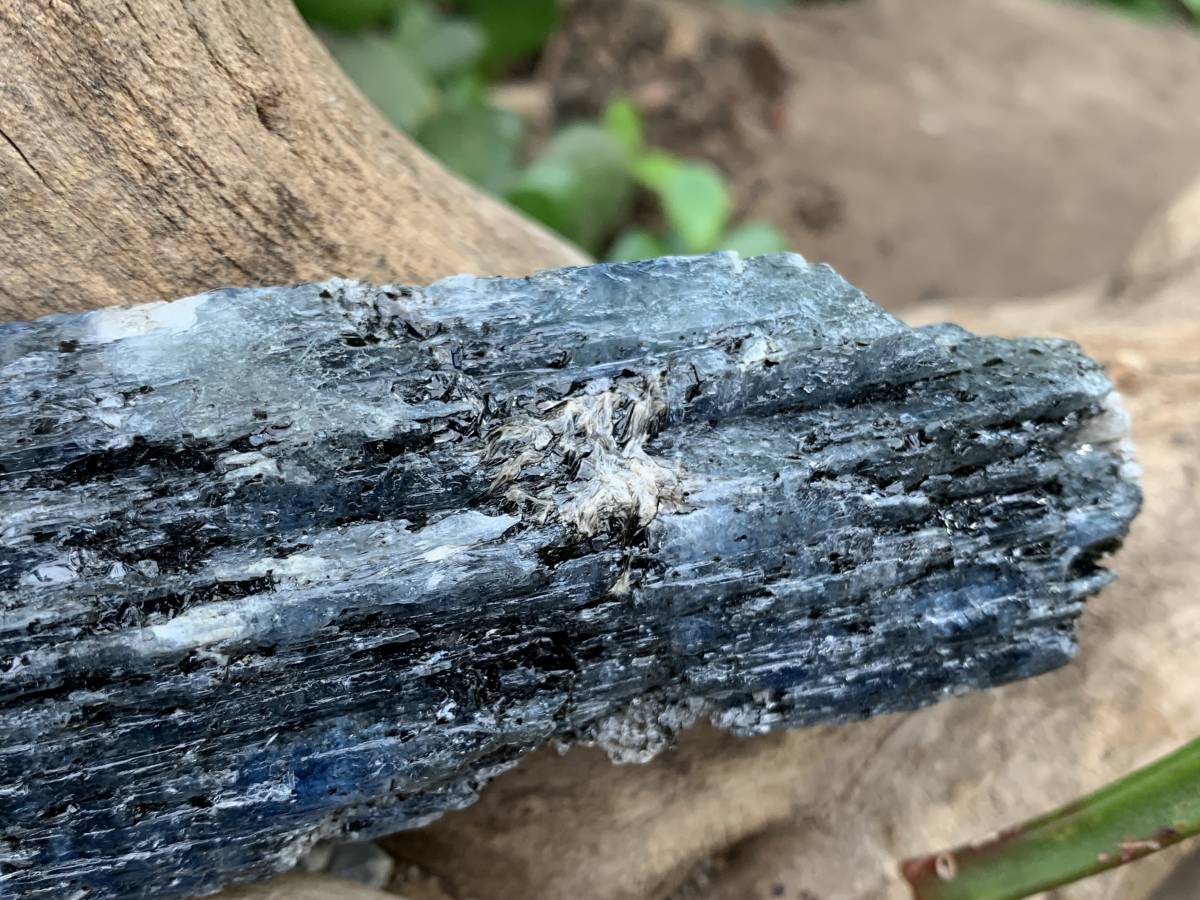 Natural XL Blue Kyanite Specimen x 1 From Karoi, Zimbabwe