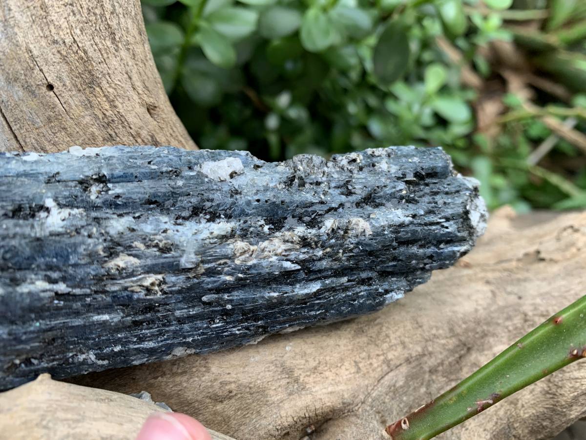 Natural XL Blue Kyanite Specimen x 1 From Karoi, Zimbabwe