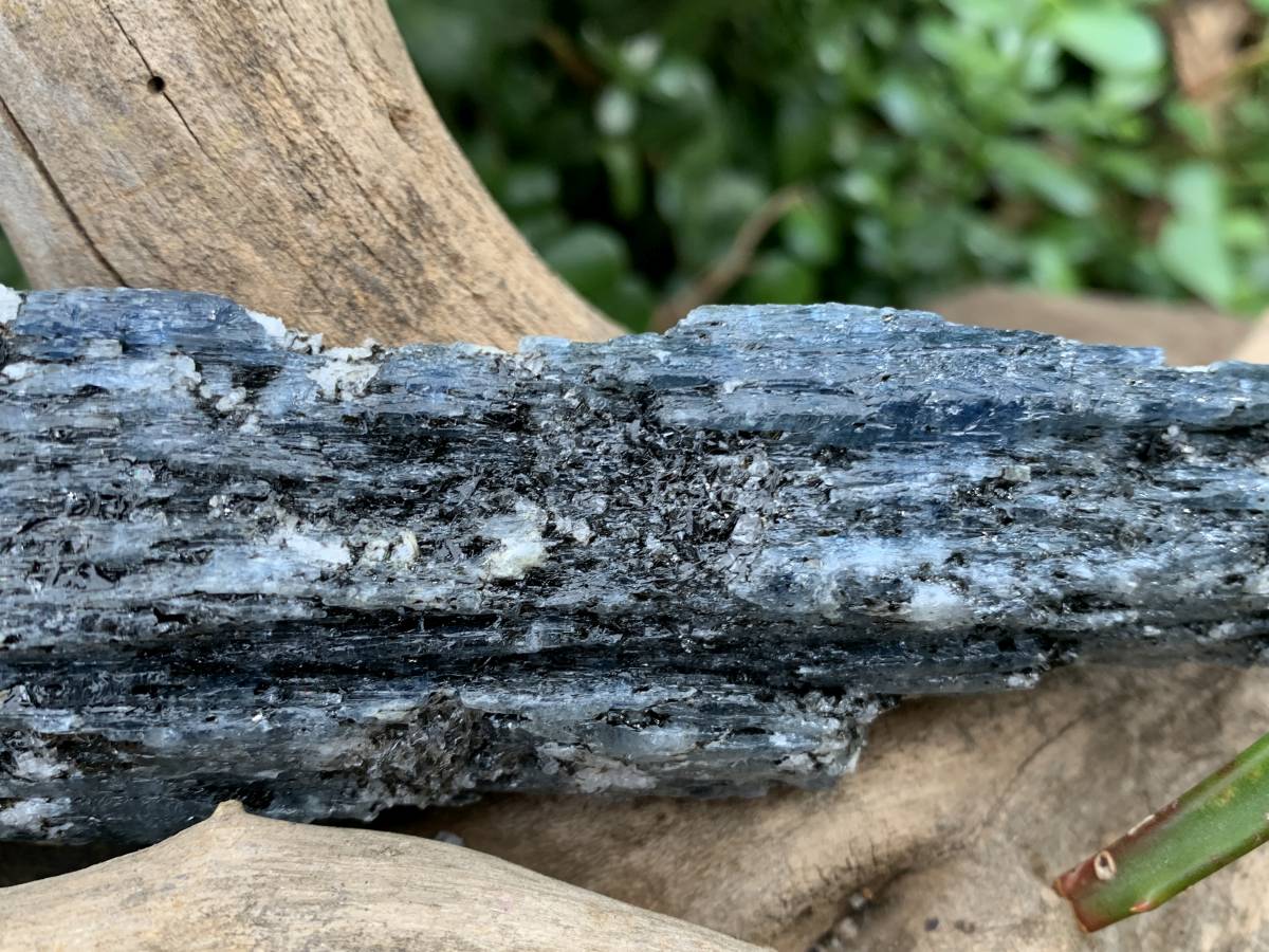 Natural XL Blue Kyanite Specimen x 1 From Karoi, Zimbabwe