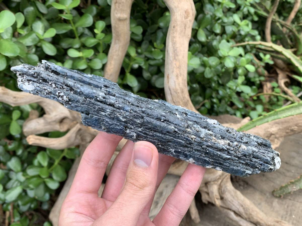 Natural XL Blue Kyanite Specimen x 1 From Karoi, Zimbabwe