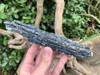 Natural XL Blue Kyanite Specimen x 1 From Karoi, Zimbabwe