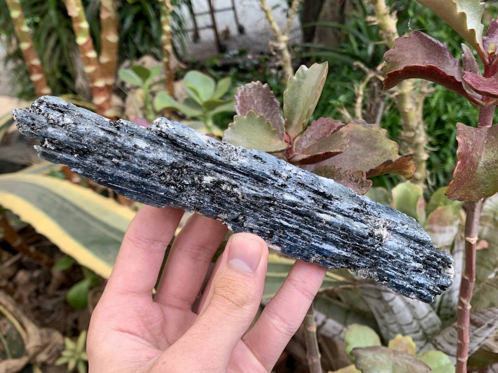 Natural XL Blue Kyanite Specimen x 1 From Karoi, Zimbabwe