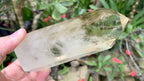 Polished Large Clear Citrine Quartz Crystal x 1 From Madagascar