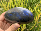 Polished Large Blue Flash Labradorite Palm Stone x 1 From Tulear, Madagascar