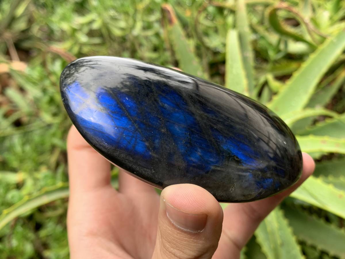 Polished Large Blue Flash Labradorite Palm Stone x 1 From Tulear, Madagascar