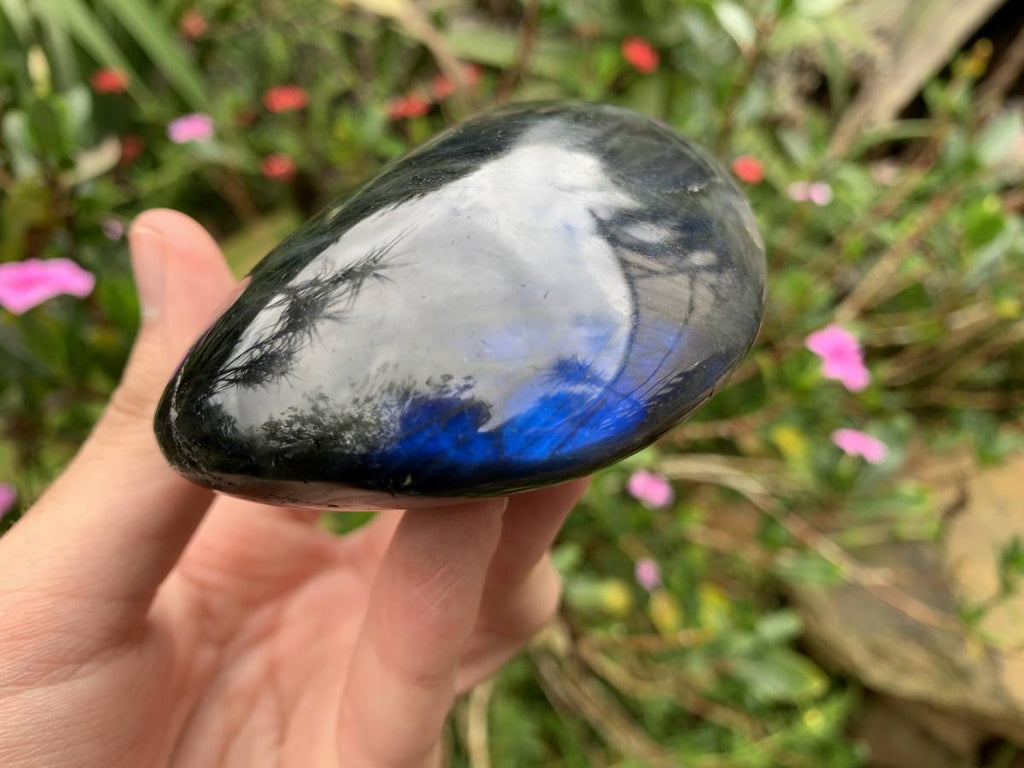 Polished Large Blue Flash Labradorite Palm Stone x 1 From Tulear, Madagascar