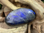Polished Large Blue Flash Labradorite Palm Stone x 1 From Tulear, Madagascar