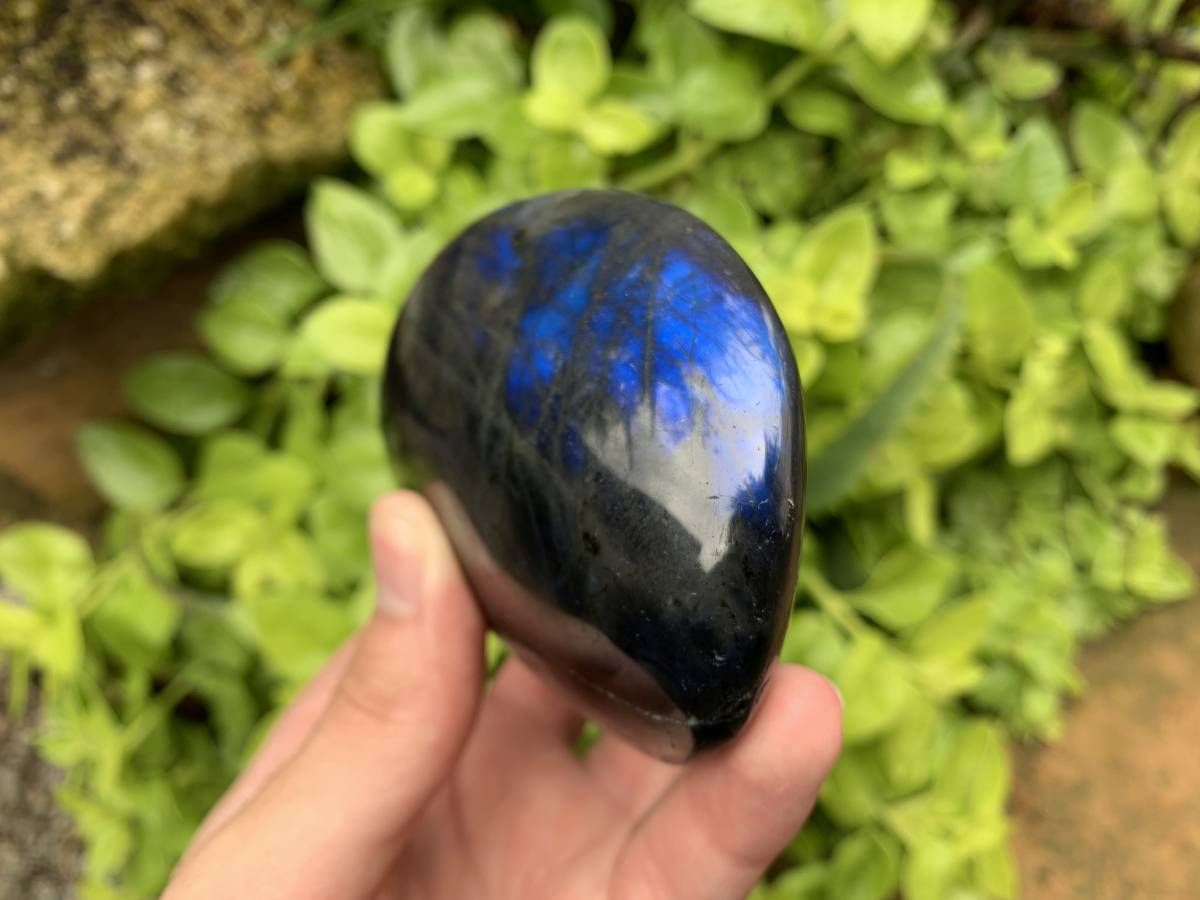 Polished Large Blue Flash Labradorite Palm Stone x 1 From Tulear, Madagascar