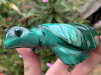 Hand-Made Banded Flower Malachite Turtle Carving x 1 From Congo