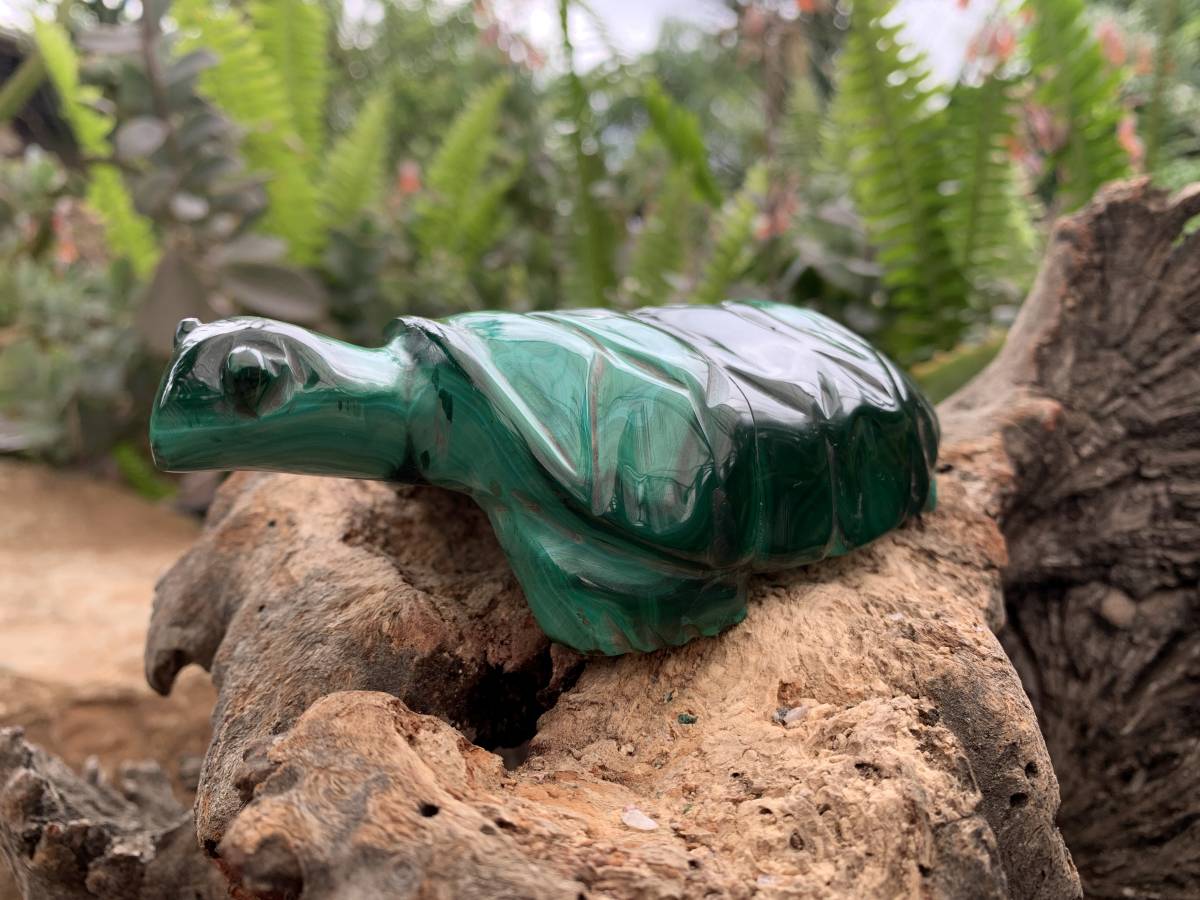 Hand-Made Banded Flower Malachite Turtle Carving x 1 From Congo