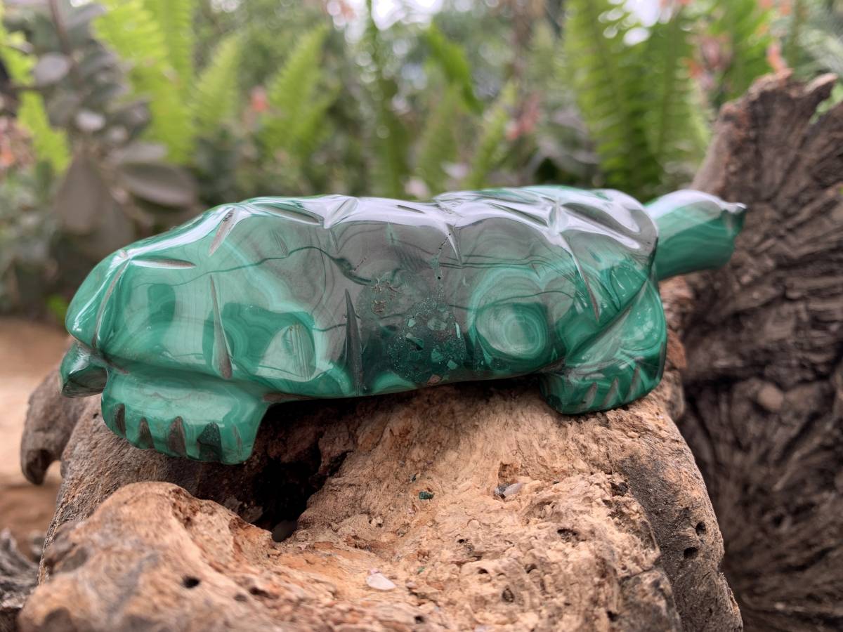 Hand-Made Banded Flower Malachite Turtle Carving x 1 From Congo