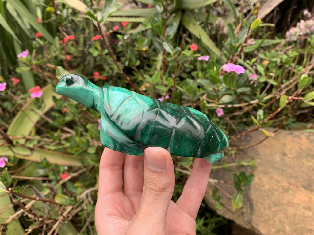 Hand-Made Banded Flower Malachite Turtle Carving x 1 From Congo