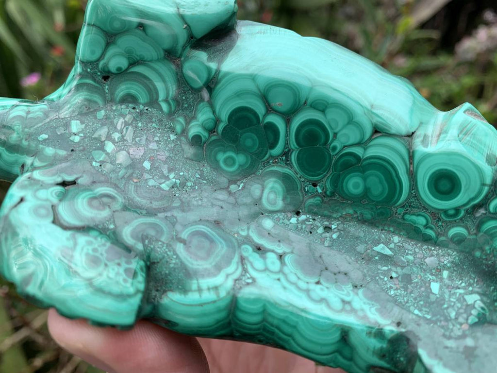 Hand-Made Banded Flower Malachite Turtle Carving x 1 From Congo