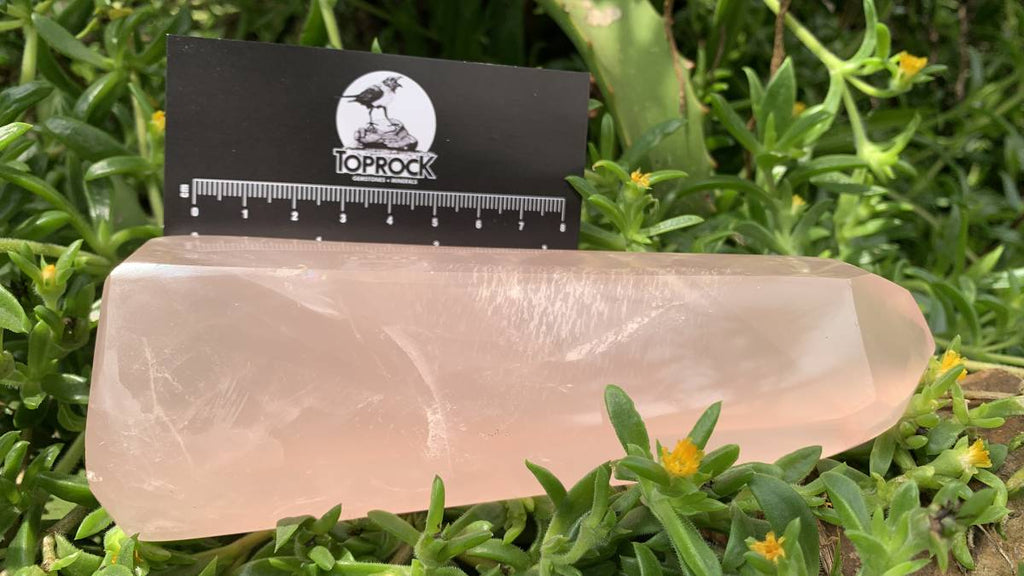 Polished Gemmy Rose Quartz Crystal x 1 From Ambatondrazaka, Madagascar
