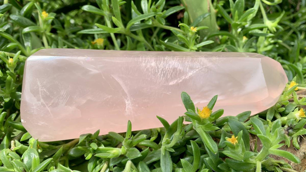 Polished Gemmy Rose Quartz Crystal x 1 From Ambatondrazaka, Madagascar