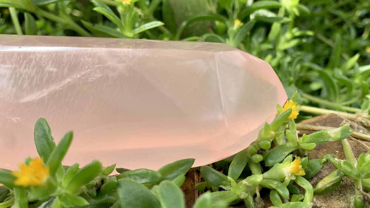 Polished Gemmy Rose Quartz Crystal x 1 From Ambatondrazaka, Madagascar
