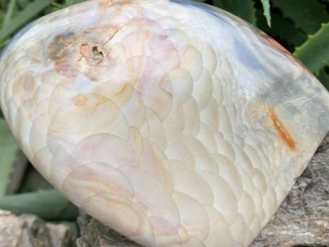 Polished Rare Dragon's Scale Polychrome Jasper Standing Free Form x 1 From Northwest Coast, Madagascar