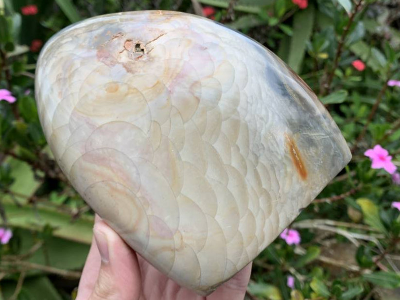 Polished Rare Dragon's Scale Polychrome Jasper Standing Free Form x 1 From Northwest Coast, Madagascar