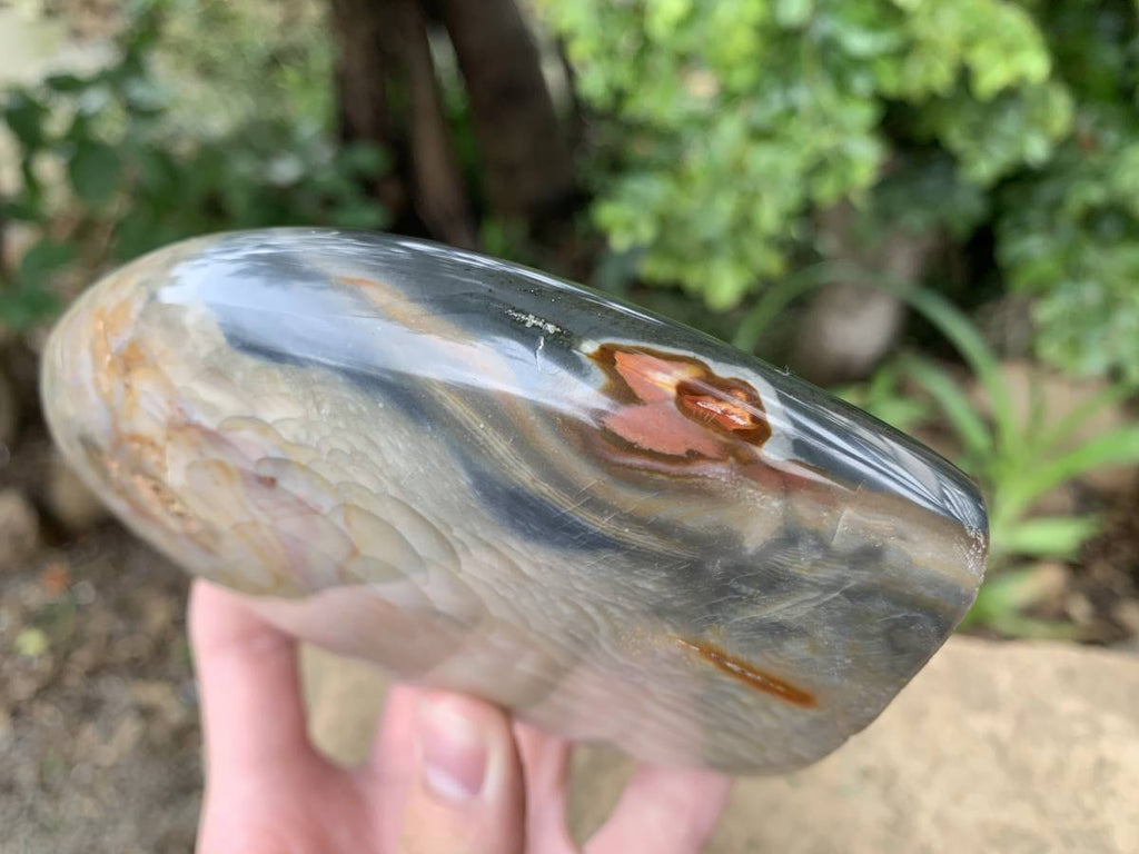 Polished Rare Dragon's Scale Polychrome Jasper Standing Free Form x 1 From Northwest Coast, Madagascar
