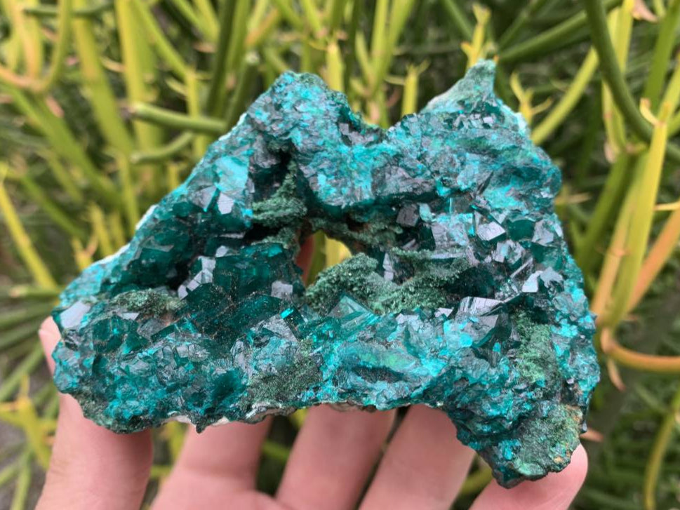 Natural Rare Dioptase and Crystalline Malachite Specimen x 1 From Likasi, Congo