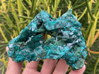 Natural Rare Dioptase and Crystalline Malachite Specimen x 1 From Likasi, Congo