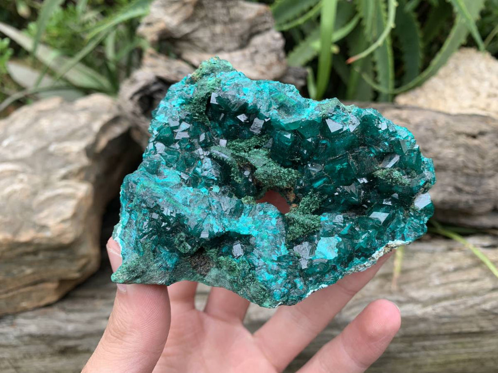 Natural Rare Dioptase and Crystalline Malachite Specimen x 1 From Likasi, Congo