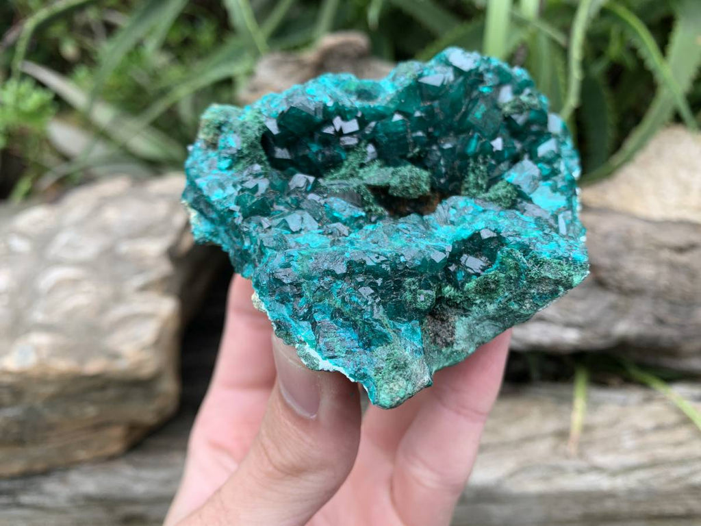 Natural Rare Dioptase and Crystalline Malachite Specimen x 1 From Likasi, Congo