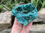 Natural Rare Dioptase and Crystalline Malachite Specimen x 1 From Likasi, Congo