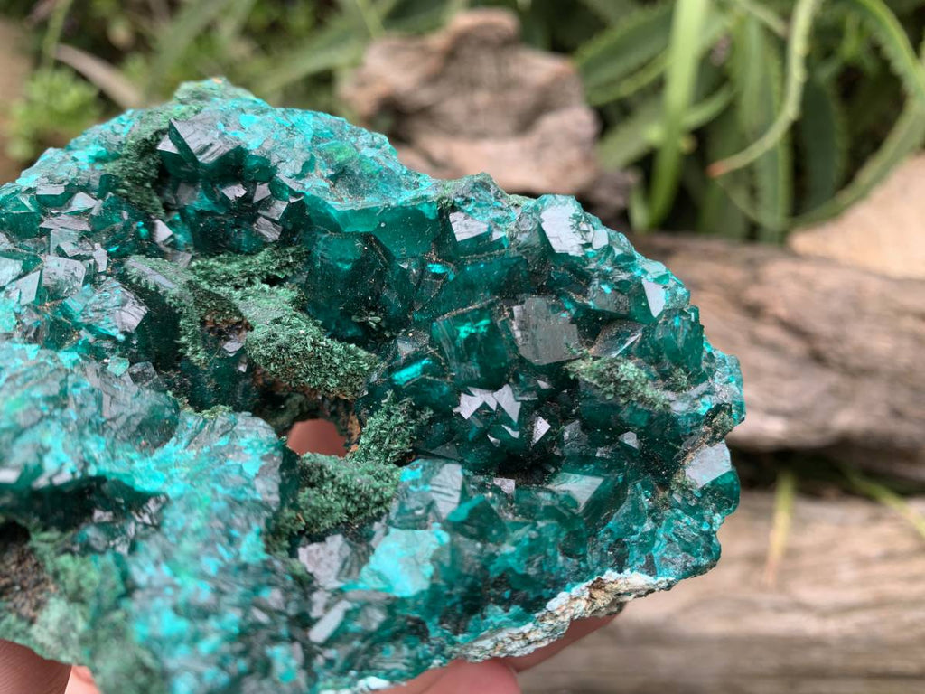 Natural Rare Dioptase and Crystalline Malachite Specimen x 1 From Likasi, Congo