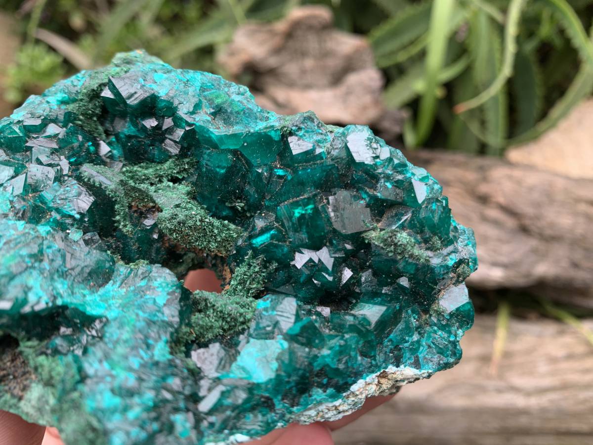 Natural Rare Dioptase and Crystalline Malachite Specimen x 1 From Likasi, Congo