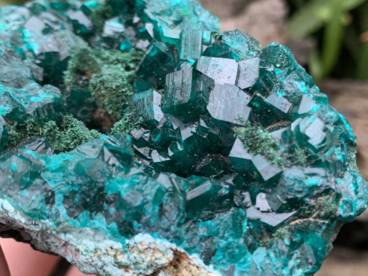 Natural Rare Dioptase and Crystalline Malachite Specimen x 1 From Likasi, Congo