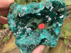 Natural Rare Dioptase and Crystalline Malachite Specimen x 1 From Likasi, Congo