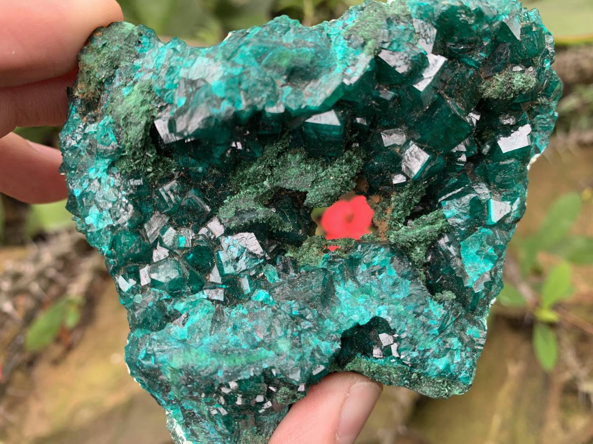 Natural Rare Dioptase and Crystalline Malachite Specimen x 1 From Likasi, Congo