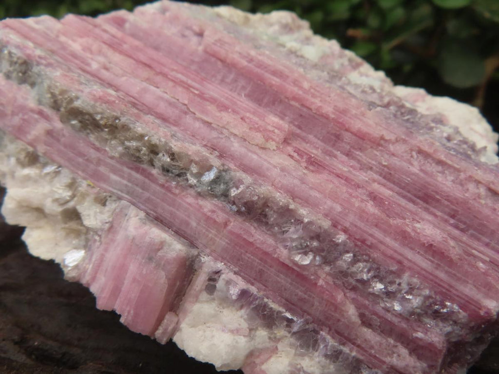 Natural Large Rubellite Pink Tourmaline in Mica and Feldspar Schist x 1 From Karibib, Namibia