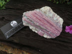 Natural Large Rubellite Pink Tourmaline in Mica and Feldspar Schist x 1 From Karibib, Namibia