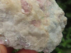 Natural Large Rubellite Pink Tourmaline in Mica and Feldspar Schist x 1 From Karibib, Namibia