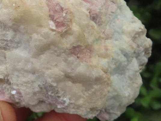 Natural Large Rubellite Pink Tourmaline in Mica and Feldspar Schist x 1 From Karibib, Namibia