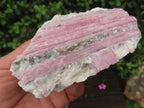Natural Large Rubellite Pink Tourmaline in Mica and Feldspar Schist x 1 From Karibib, Namibia