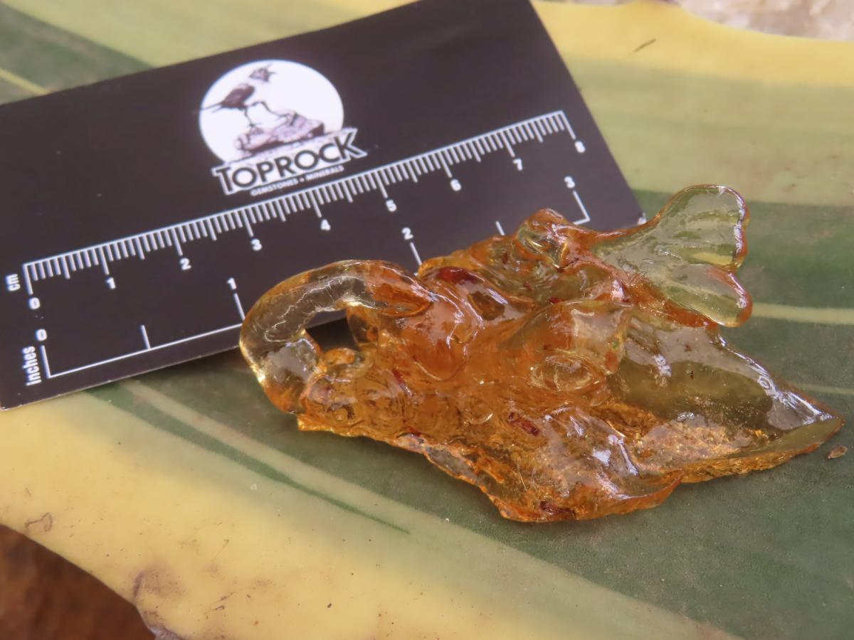 Natural Large Copal Amber Specimen x 1 From Nosy Varika, Madagascar