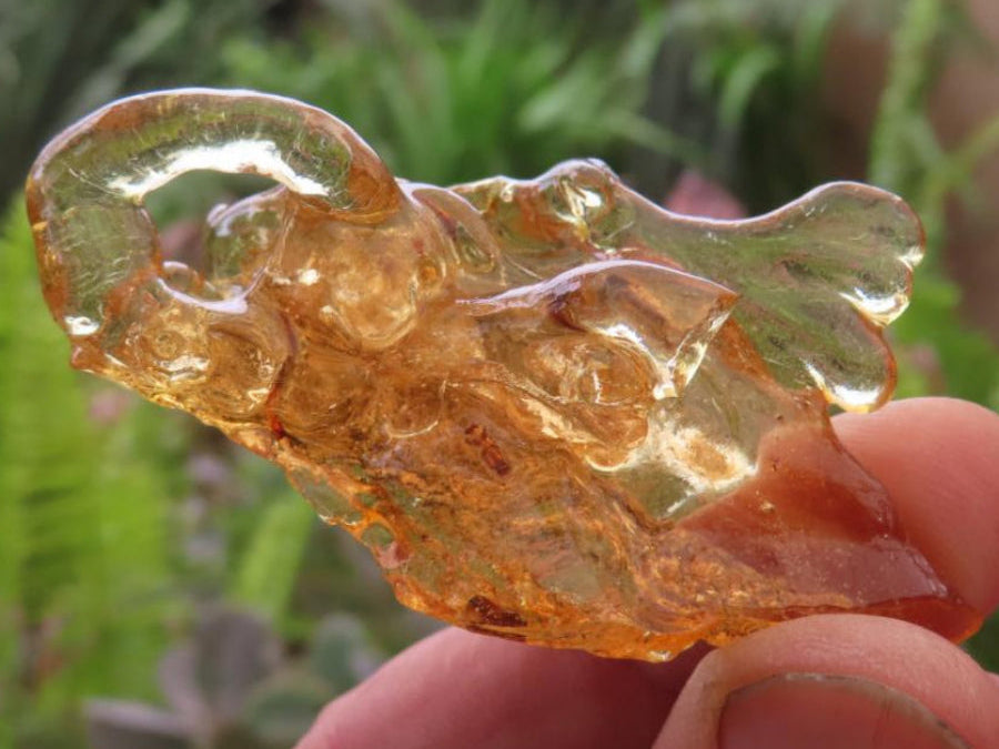 Natural Large Copal Amber Specimen x 1 From Nosy Varika, Madagascar